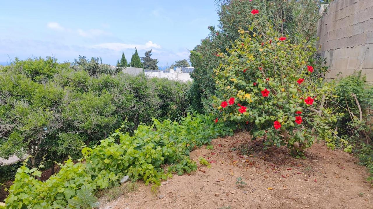 Stunning Villa With Pool, Table Tennis, Table Soccer And A Pool Table Naxxar Exteriér fotografie