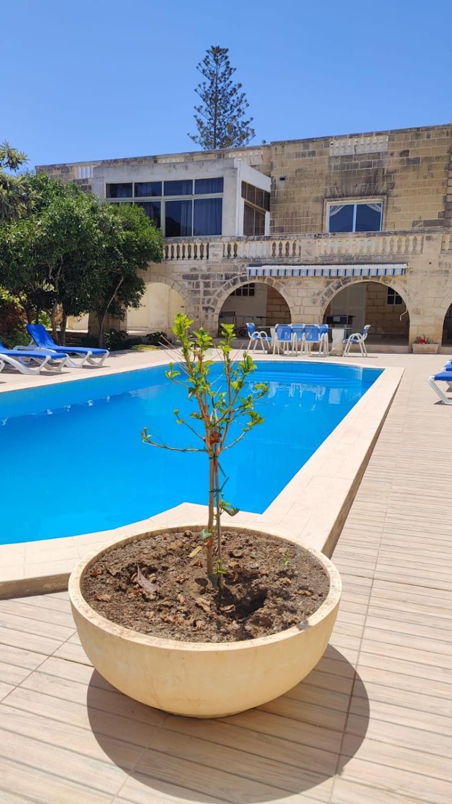Stunning Villa With Pool, Table Tennis, Table Soccer And A Pool Table Naxxar Exteriér fotografie